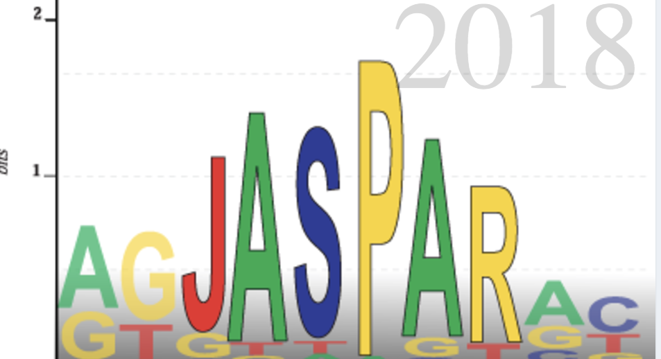 JASPAR database